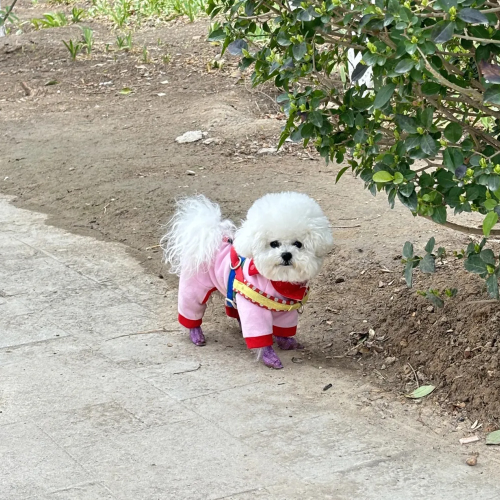 Dây Xích Chó Yên Dây Đeo Ngực Dobaamine Áo Vest Mùa Hè Phong Cách Dây Xích Nhỏ Vừa Chó Corgi Bichon Ngực Lưng Chó Đi Bộ Dây Xích