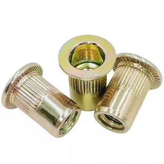 đai ốc rút, ecu rivet rút, tán rút các loại（mạ kẽm màu）  /Tán ecu rút Mạ kẽm size  M3M4M5-M12 【LXY-G1】