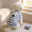 【Ready Stock】 Spring and Summer New Pet Dog Clothes Spring and Summer Small Dog Cat Anti-Lint Outdoor Traction Anti-Dirty Clothes rSxv