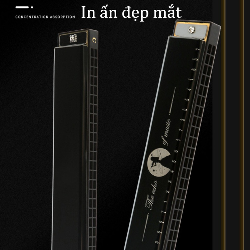 【SKISOPGO】Kèn Harmonica 24 lỗ,kèm hộp nhựa nhiều màu dùng,màu mẫu mã đẹp,âm thanh hay,cho người mới hojc