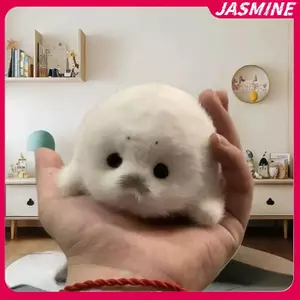 JASMINE Dễ Thương Cho Bé Cói Búp Bê Sang Trọng Đồ Chơi Mặt Dây Chuyền Mô Phỏng Đại Dương Đồ Chơi Lưu Niệm Con Dấu Mặt Dây Chuyền Quà Tặng Túi Búp Bê Mặt Dây Chuyền JASMINE