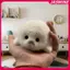 JASMINE Dễ Thương Cho Bé Cói Búp Bê Sang Trọng Đồ Chơi Mặt Dây Chuyền Mô Phỏng Đại Dương Đồ Chơi Lưu Niệm Con Dấu Mặt Dây Chuyền Quà Tặng Túi Búp Bê Mặt Dây Chuyền JASMINE