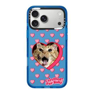 CASECASE X Cat khung trái tim Đen / Xanh da trời / Hồng Fizz Bộ sưu tập kẹo Màu sắc trong suốt Cứng hút từ tính Vỏ tác động cho Apple IPhone 13 14 15 16 17Pro Max Plus Có hộp