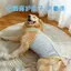 【Ready Stock】 Dog Lightweight Sun Protection UV-Resistant Cool Clothes Summer Days Pet Teddy Maltese Cooling Sling ugRE