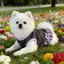 【Ready Stock】 Spring and Summer New Cat and Dog Clothes Bow Dress Teddy Bichon York Summer Pomeranian Sleeveless Princess Dress 7qSo