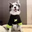 【Ready Stock】 Border Collie Clothes Summer Thin Fake Two-Piece Clothes Medium Large Dog Anti-Lint Clothes Big Dog Golden Retriever Clothes Summer s5j8