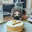 SY Captain America James Buchanan Barnes Winter Soldier Plushie Manga Sang Trọng Móc Khóa Anime Túi Charm