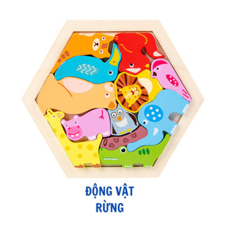 Bảng Lục Giác Gỗ Ghép Hình Logic Nhiều Chủ Đề Nhiều Màu Sắc Đẹp Mắt - Đồ Chơi Gỗ Giáo Dục Phát Triển Tư Duy Cho Bé