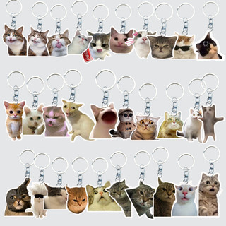 Gilan Móc Chìa Khóa Móc Chìa Khóa Mèo vui nhộn Meme Silly Cat V2 phụ kiện ví