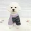 【Ready Stock】 Pet Striped Pet Dog Dog Rainbow Clothes Four Legs Bichon Small Home Dog Teddy Traction Cat ORXB