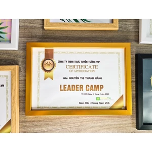 Khung Ảnh - Bằng Khen 21X30cm(A4) /25x35cm(B4)/ 30x42cm(A3) Treo Tường Để Bàn TƯỜNG VIP