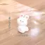 TRTR Kawaii Heo Và Chi Trang Trí Điêu Khắc Mini Đồ Trang Trí Phong Cảnh Vi Mô Đồ Trang Trí Xe Hơi Nhựa Các Bức Tượng Nhỏ Văn Phòng Bàn Phụ Kiện VN