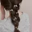 6 Kẹp Tóc Mini Nơ Vàng Mới Cho Nữ, Kẹp Tóc Và Phụ Kiện Tóc Cô Gái Ngọt Ngào Và Thoáng Mát [Mới]