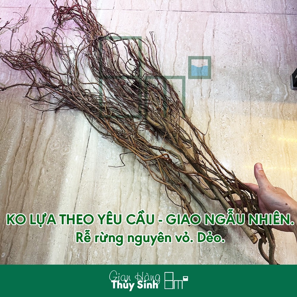 Rễ Rừng Nguyên Vỏ | Rễ Rừng Dẻo Trang Trí Hồ Thủy Sinh, Bán Cạn, Bò Sát | 8m2 ...