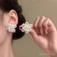 Bông tai ngọc trai trắng cổ tích từ bạc kim pháp - Xu hướng thời trang mới
