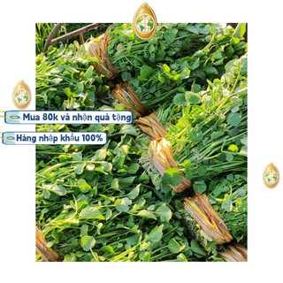 Hạt giống rau cải xoong, Xà lách xoong trồng cạn giàu dinh dưỡng，k016，Trung Quốc nhập khẩu