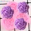 Khung Ảnh Hoa Mẫu Đơn Khuôn Silicon Cưới Cupcake Topper Fondant Bánh Trang Trí Dụng Cụ VN