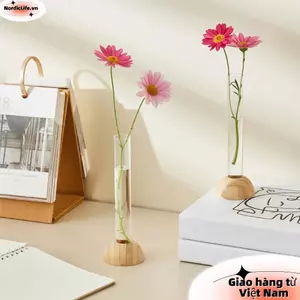Bình ống nghiệm NORDICLIFE, Bình thủy canh trong suốt bằng nhựa cây cảnh, có đế tre Trang trí để bàn Cây chậu hoa