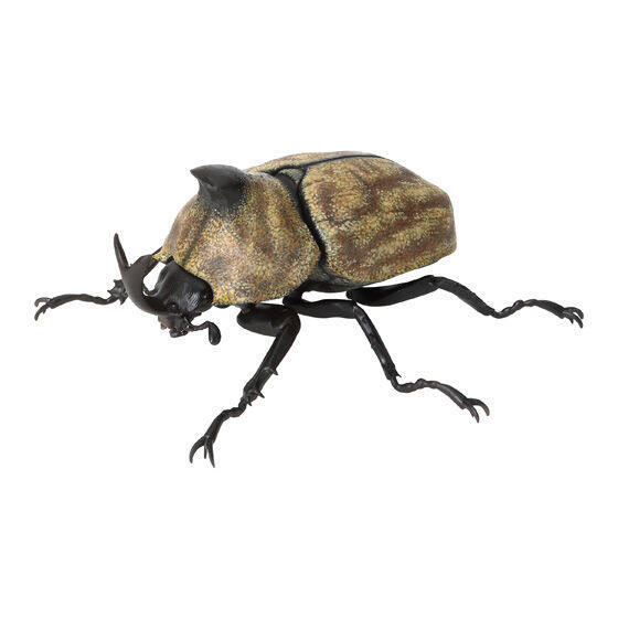 [BTF] Hàng có sẵn BANDAI Capsule Toy Sách minh họa sinh học 10 Beetle Big Pocket Worm Mô phỏng côn trùng Đồ trang trí WW4N