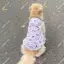 【Ready Stock】 Pet Dog New Skirt Gray Puppy Clothes Cute Large, Medium and Small Dogs Golden Retriever Automobiles Curtain Pull Decoration Shooting x4VE