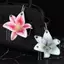 Creative Orchid Lily Mô Phỏng Móc Khóa Hoa Thời Trang Bapa Phụ Kiện Trang Trí [Mới]