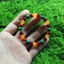 Vòng tay đính cườm Bohemian Malachite - Hạt thủy tinh / tráng men nhiều màu - Handmade - Unisex Natural Travel