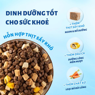 Hạt Cho Mèo MRVET 1kg Holistic Với 30% Protein Kèm Topping