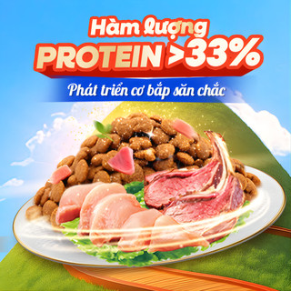 Hạt Silver Spoon 1kg Nội Địa Nhật Bản Hạt Cho Mèo Đủ Vị Gà Cá Ngừ Và Dòng Giảm Nôn Trớ