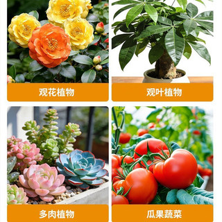 Ten-Effect Phân bón dạng hạt tất cả trong một Rắc xả các yếu tố dấu vết Phân bón hòa tan trong nước Dinh dưỡng toàn diện Bảo quản Hoa Thúc đẩy rễ Cây con chắc chắn 2026.4.6