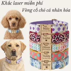 Vòng cổ chó nhiều màu cá tính, khắc tên thú cưng miễn phí, tặng thẻ tên, phù hợp cưới chó con
