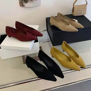 TT Phong Cách Hàn Quốc V-Mouth Giày Gót Thấp 2026 Phong Cách Mới 4 Mùa Giày Mũi Nhọn Giày Gót Dày Giày Mèo Gót Giày Nữ Đế Mềm