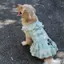 【Ready Stock】 New Dog Cute Dress 2026 Pet Large, Medium and Small Dogs Clothes Golden Retriever Labrador Shooting Skirt mPs0