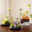 chậu cây cảnh bonsai giả phong cách trung hoa decor phòng khách tiểu cảnh rêu đá nghệ thuật cắm sẵn kèm chậu gốm cao cấp