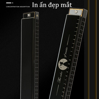 Kèn Harmonica 24 Lỗ Cao Cấp, Dễ Thổi, Rõ Nốt, Vỏ Kim Loại Bóng Đẹp, Quà Tặng Cho Bạn Trai, Con Trai