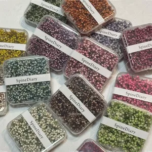 Berry Hoa Nguyên Chất Hoa Khô Nghệ Thuật Rác Tạp Chí Retro Sổ Tay Chất Liệu Sản Xuất Tươi Trang Trí Cảnh Quan Tự Làm Handmade