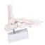 SA Mô hình cấu trúc bàn chân giải phẫu Xây dựng PVC lý tưởng cho sinh viên y tế hiểu chức năng xương và sắp xếp