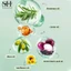 SEVICH Naturl Pure Herbal Hair OiI Duy trì sức khỏe da đầu và thúc đẩy mọc tóc 50ML