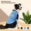 Áo vest lưới chó lớn 3XL-6XL, bàn chân chó / bản in yêu thích của mẹ, phong cách chui đầu, có sẵn 4 màu, thoải mái và thoáng khí, có thể giặt được bằng máy, thích hợp cho tất cả chó lớn