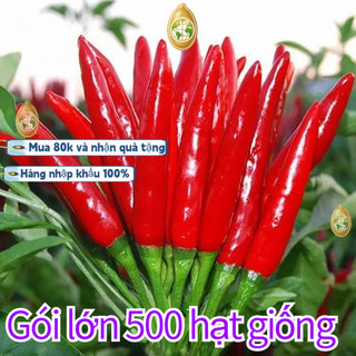 Bao bì gốc[500 HẠT]nhập khẩu Hạt giống ớt chỉ thiên siêu cay siêu trái ，k035