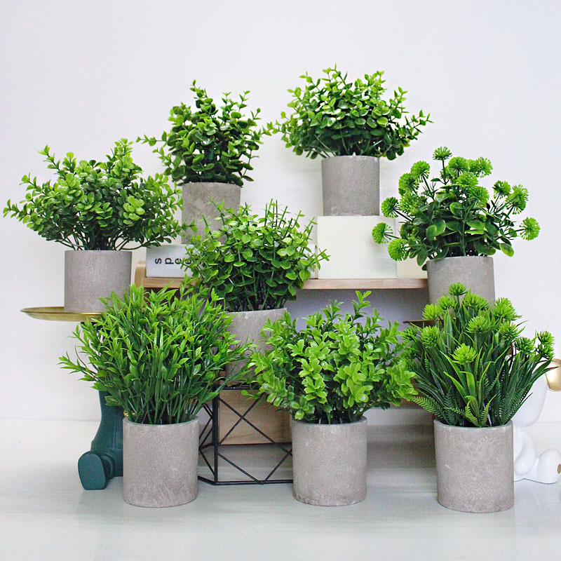 Cây Giả Kèm Chậu để Bàn 23cm, Cây Nhân Tạo Trang Trí Nhà Cửa, Xanh Mãi Mãi, Nhà Cửa, Văn Phòng, Quán Cafe