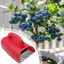 Máy thu hoạch thìa Berry tiện dụng Thu hoạch nhanh ngoài trời Wild-Berry Tìm kiếm thức ăn