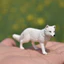 Đồ chơi mô hình động vật hoang dã mô phỏng Sile Arctic Fox White Fox 2018