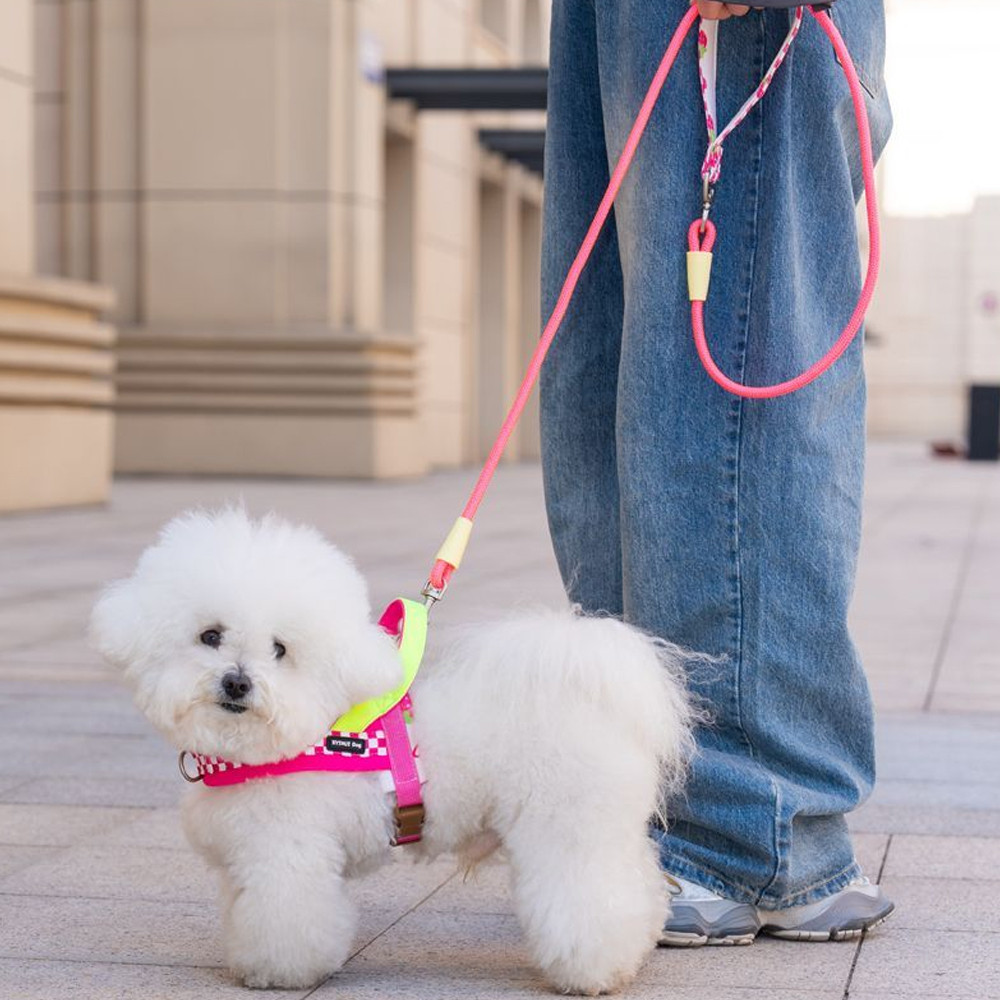 Dây Xích Chó Yên Dây Đeo Ngực Dobaamine Áo Vest Mùa Hè Phong Cách Dây Xích Nhỏ Vừa Chó Corgi Bichon Ngực Lưng Chó Đi Bộ Dây Xích