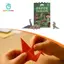 Bộ dụng cụ thủ công Dinos giấy DIY, Trang trí bàn làm việc tại nhà Bộ gấp động vật Thủ công gấp lại nhân vật của riêng bạn cho bé trai bé gái Trẻ em