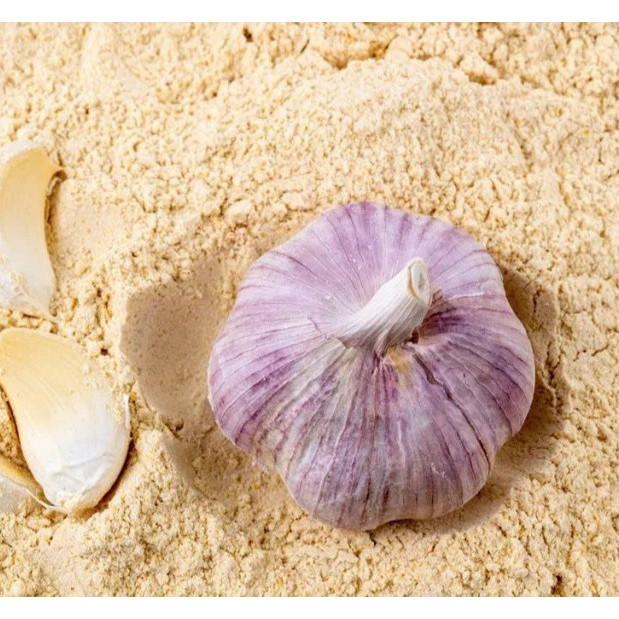 Bột Tỏi Atlas Garden Garlic Powder Lọ 61g, Gia Vị Nấu Ăn Cao Cấp Từ Tỏi Tự Nhiên Cho Món Ăn Đậm Vị