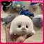 JASMINE Dễ Thương Cho Bé Cói Búp Bê Sang Trọng Đồ Chơi Mặt Dây Chuyền Mô Phỏng Đại Dương Đồ Chơi Lưu Niệm Con Dấu Mặt Dây Chuyền Quà Tặng Túi Búp Bê Mặt Dây Chuyền JASMINE