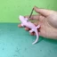 Sile 2024 Hồng thằn lằn Salamander Mô phỏng Mô hình động vật Đồ chơi trẻ em Đồ trang trí nhận thức