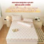 Set 4 món chiếu băng lạnh chất liệu cao cấp, hấp thụ nhiệt mát tốt và nâng niu làn da Memminbedding