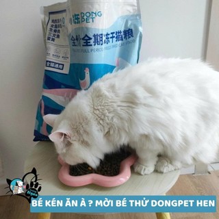 Hạt mix topping cho mèo Dong Pet dành cho mèo kén ăn 2.5kg