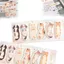 GETVOW Cat Index Tab, Phân loại tập tin Phim hoạt hình Giấy dán động vật, Công cụ lập kế hoạch sáng tạo Tổ chức Ghi chú Đánh dấu trang Trang Đánh dấu Sử dụng văn phòng